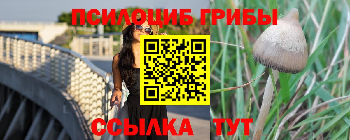 Псилоцибиновые грибы мухоморы  Галлюциногенные грибы мухоморы  сколько стоит  Вход с VPN  Россия 